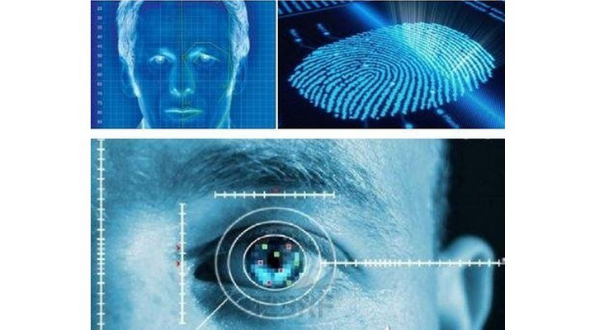 Biometric perspective of Maxvision